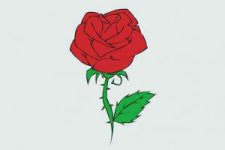 نقاشی-گل-رز-300x200.jpg