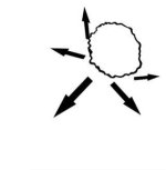 35-flower-drawing.jpg