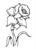 35-flower-drawing (4).jpg