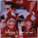الناز 20220512_112007.jpg