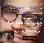 Negar_۲۰۲۲۰۸۱۶_۱۸۳۷۲۵.png