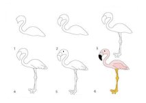 learn_to_draw_a_flamingo_460_1024x1024.jpg