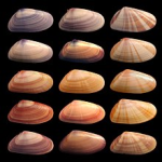 1660680509675.png