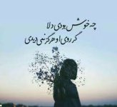بارگیری (49).jpeg