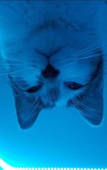 IMG_20220822_135702_952.jpg