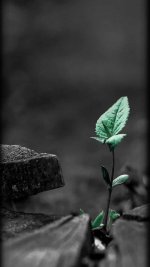 پروفایل-خاص-و-زیبا-859-600x1067.jpg