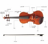 Violin 4.jpg