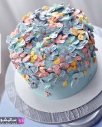 tazeen-cake-satisho-175-1.jpg