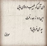 658ea78ad07174c794f08bb99c6c3be4.jpg