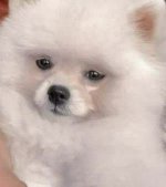 IMG_20220904_201104_448.jpg