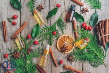 1660564009.jpg 1660564009.jpg