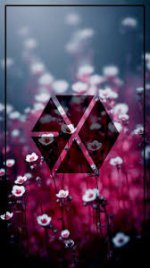 images - 2022-09-06T203512.792.jpeg