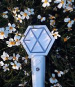 images - 2022-09-06T203502.697.jpeg