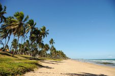 salvador_beaches.jpg