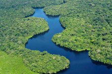 amazon_river.jpg