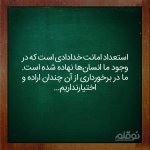 IMG_20220916_093226_284.jpg