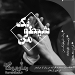 Negar_۲۰۲۲۰۸۲۹_۱۲۵۸۳۱.png