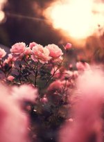 full_natural-flowers-backdrop-3.jpg