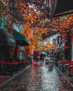 rainy street in Fall_wallpaper.blog.ir.jpg
