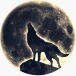 wolf-moon-21.jpg