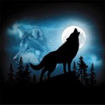 wolf-moon-10.jpg