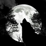 wolf-moon-11.jpg