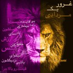 809666327-talab-org.jpg