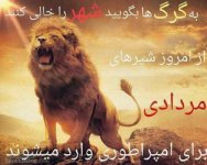 1339015683-talab-org.jpg
