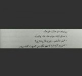 1553074506_5690.jpg