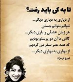Photo-by-Forough-Farrokhzad-5.jpg