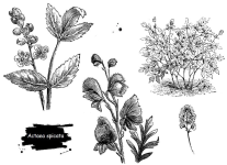 1664868231073.png 1664868231073.png