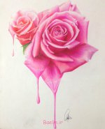 1-flower-drawings-rose.jpg