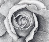 nody-آموزش-نقاشی-سیاه-قلم-رایگان-ساده-1629305619.jpg