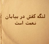 ضرب-المثل-لنگه-کفش-هم-در-بیابان-غنیمت-است.jpg