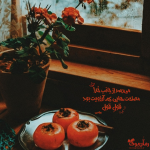 Negar_۲۰۲۲۱۰۰۱_۱۸۱۵۰۹.png