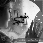 Negar_۲۰۲۲۱۰۰۷_۱۵۲۹۵۳.png