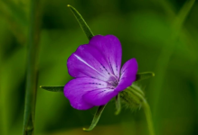 1665156219913.png 1665156219913.png