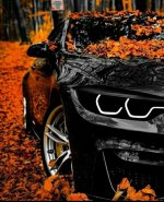 10188c05-53e6-45bd-bf5c-7e939ce5cb82.jpeg