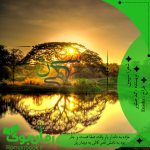 Negar_۲۰۲۲۱۰۱۳_۱۳۵۳۲۲.png