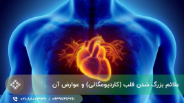 1665861620525.png