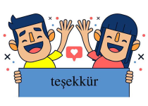 1666094898184.png