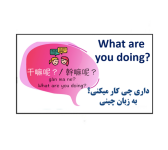 1666746299686.png