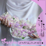 Negar_۲۰۲۲۱۰۲۶_۱۷۲۷۵۳.png