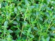 بارگیری (3).jpeg