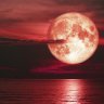 Honeymoon