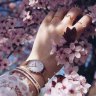 @tayebe1375