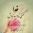 noor7371